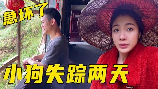 家里的狗不见了，三妹和表弟找了两天都没找到，担心被大狗欺负【湘西石三妹】