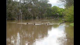 The Barwon River Flood at Winchelsea, Melbourne | Australia | Vlog | மழை பெய்து ஆற்றில் வெள்ளம்