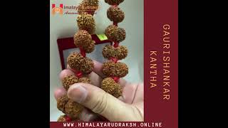 Gaurishankar Rudraksha