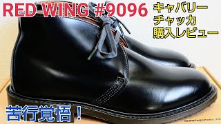 【レッドウィング】キャバリーチャッカ ２年ぶりの新品購入 プレメンテ