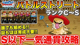 【DQMSL】証もほぼ育成不要!! 誰でも組める編成でバトルストリートC～SまでS縛り一気通貫攻略!!  冒険の書1346