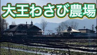 大王わさび農場は、長野県安曇野市にあるわさび農場。