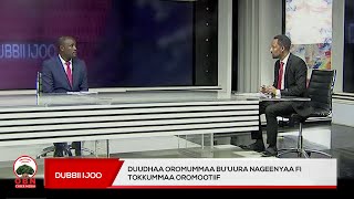 Dubbii Ijoo OBN Mudde 02, 2017