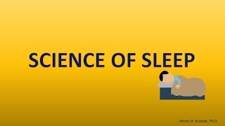 Stages of Sleep, REM sleep, Circadian Rhythm