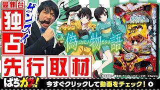 独占先行取材【パチンコCR偽物語】つ・い・に明かされる話題の最新台！最速試打！[ぱちんこ][ぱちガブッ！]