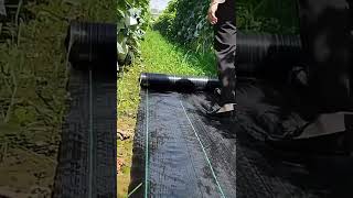 PP Plastic Landscaping Fabric Factory #weedcontrol #landscapefabric #weedbarrier #weedmembrane