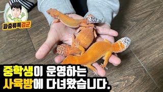 우리나라 파충류 시장의 미래는 밝군요. 16살인데 벌써부터 도매를 한다네요 ㄷㄷ