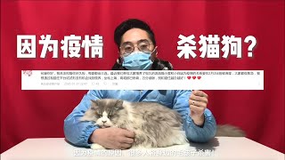 Abandon Pets for fear Coronavirus ! ? Don't let rumors hurt innocent lives! | Live With The Cat