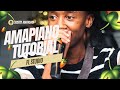 [FREE] Scott's Maphuma Amapiano Tutorial 2024 | Fl Studio Amapiano Tutorial | For Beginners