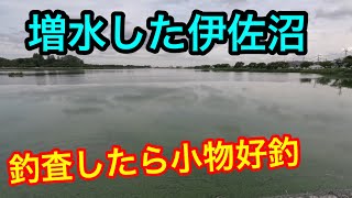 「増水した伊佐沼を釣査」【川越市】2024.6.9①