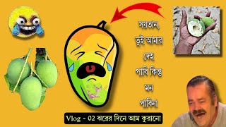 Vlog - 02 | কালবৈশাখী ঝরে এতো আম পাইলাম কীভাবে | Funny Vlog Jhenaidah 😂😂