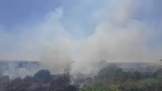 Floridia, fiamme in campagna. Domato l'incendio