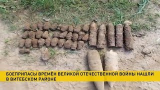 ​Боеприпасы времён Великой отечественной нашли под Витебском