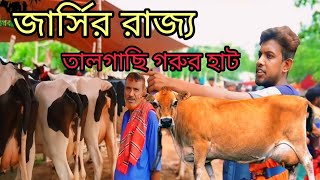 01719237392 তালগাছি গরুর হাট জার্সি গরুর রাজ্য ভিডিওটি প্রথম থেকে শেষ পর্যন্ত দেখবেন