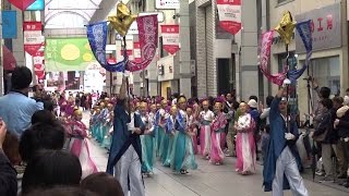 菜園場”菜の笑”さ組 土佐のおきゃく よさこい春の舞 京町商店街 2016 3 6