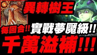 【神魔之塔】異轉四封王『每回合千萬溢補！』樹王ＶＳ蟻王！零石實戰蟻王夢魘！【嵌合蟻的王】【靈命孕育者‧迪亞布羅】【虛駭元素噬者‧迪亞布羅】【小許】