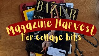 Magazine Harvest for Collage Fodder