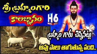 కలియుగ వింత..ఆవు పాలు తాగుతున్న పంది | Brahmam Gari Kalagnanam Proofs | బ్రహ్మం గారు చెప్పిన నిజం