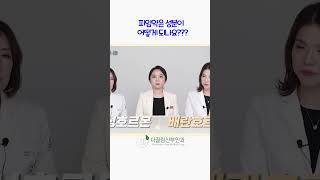 피임약의 성분은? #흡연자피임약 #피임약부작용 #피임약추천