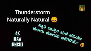 Thundary night rain | ಸ್ವಾತಿ ಮಳೆ #naturallynatural #rain #thunder