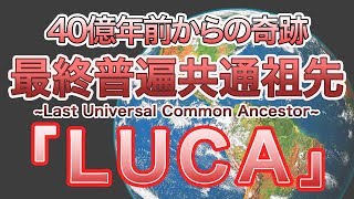 奇跡の生物！！全生物の祖先！？『LUCA』