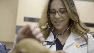Vet Chat offers 24/7 Veterinary Support to Clients.