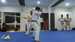 Kyokushin Breaking Demo Jan 21st 2018