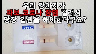 사기치는 동물병원 양심없는 수의사