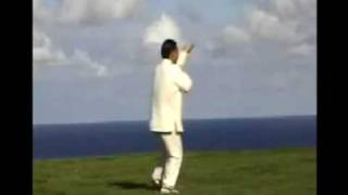 Form 38  Chen Style Taiji Quan