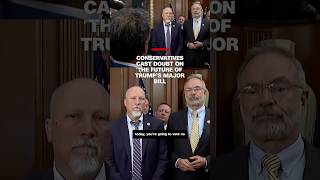 Conservatives cast doubt on the future of Trump's major bill