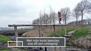 De mooiste wandeling van Friesland