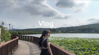 Vlog l 자몽에이드 도장깨기 하는 주말로그