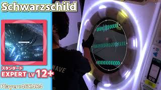 【maimaiプレイ手元動画】Schwarzschild　[Expert LV12+](スタンダード譜面)【ALLPERFECT】[画面見やすい版]