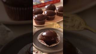 The Easiest Chocolate Ganache Cupcakes!