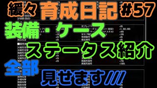 【育成アヴァベル】初公開！支援メサの現状ステ見せちゃいます///アドバイス宜しくですw