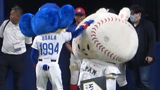 たまベヱの頭をポヨンポヨンして遊ぶドアラ（笑） (2023/07/05)