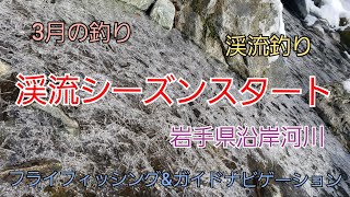 渓流シーズンスタート　3月の釣り　岩手県沿岸河川　閉伊川水系　フライフィッシング　渓流釣り　ルアー　テンカラ　fryfishing　ヤマメ　イワナ　岩手の釣り　つり人　釣りよか　釣り百景　パタゴニア　