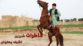 خاطرات تلخ و شیرین جوان‌ترین پهلوان بزکشی( اشرف پهلوان)