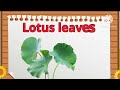 leaves name flower leaves name in english speeling eddubtion the learning school