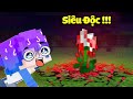 HUY NOOB PHÁT HIỆN BÔNG HOA ĂN THỊT TRONG MINECRAFT 🌹😈