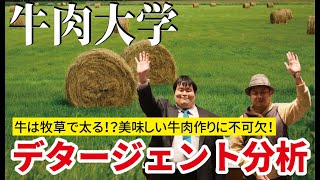 牛は牧草で太る!?牛にとっての良い牧草を調べる「デタージェント分析」について学ぶ