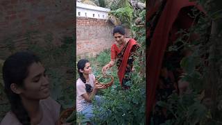 సేంద్రీయ కూరగాయలు harvesting 🌱😍#village #viral #organic #yt #trending #ytshort #reels #nature#love