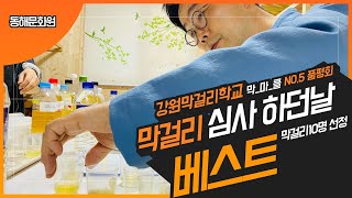 [강원막걸리학교] 막걸리 마스터 클래스 제1탄 품평 및 심사하던날!(20210319)