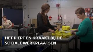 Oost-Europese uitzendkrachten bij sociale werkbedrijven