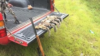 2015 TN Squirrel Opener