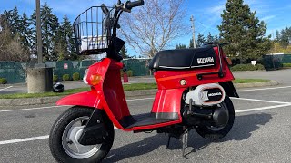 1981 Honda Squash 49cc street legal import from Japan