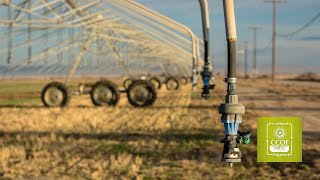 FSMA Agricultural Production Water Requirements — CCOF Foundation Webinar