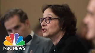 Karlan Highlights Witness Testimony: 'I Spent All Of Thanksgiving' Reading Transcripts | NBC News