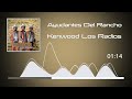 Ayudantes Del Rancho - Kenwood Los Radios - Escribiendo La Historia (Audio)