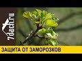 🏡 Как защитить сад от заморозков и резкой смены погоды - 7 дач